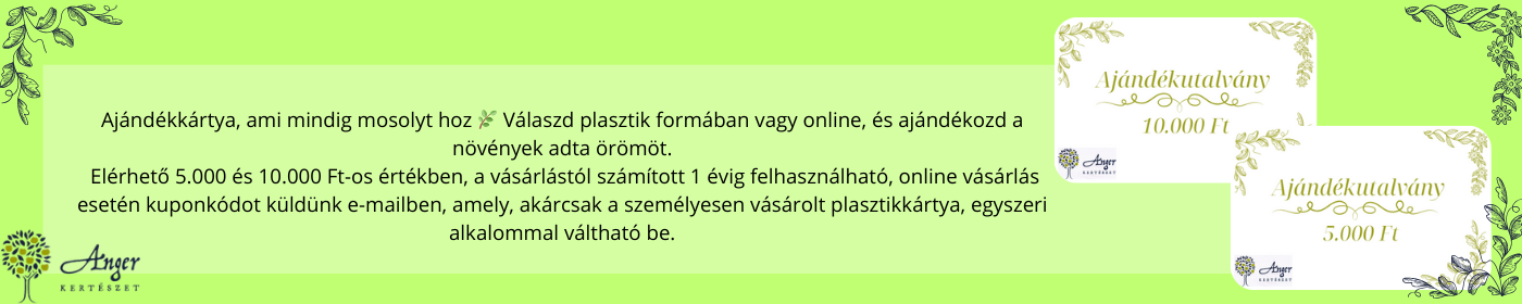 Anger Kertészet