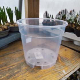 Átlátszó orchidea cserép (15cm)