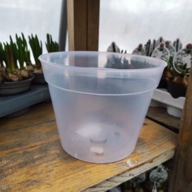 Átlátszó orchidea cserép (18cm)