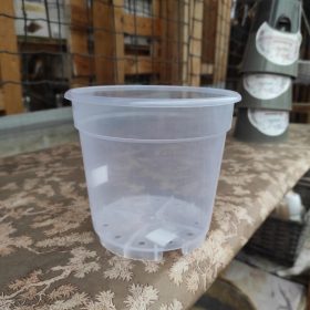 Átlátszó orchidea cserép (14cm)