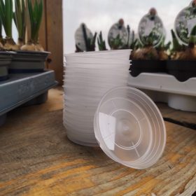 Átlátszó orchidea cserép alátét