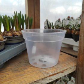 Átlátszó orchidea cserép (14cm)