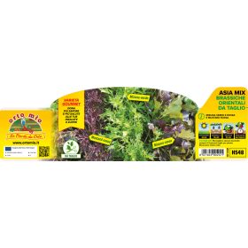 Ázsia mix metéső saláták 9-es pakk