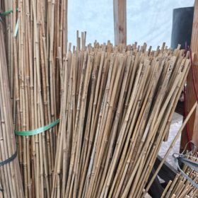 bambusz karó (105cm)