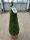 Buxus Sempervirens Cone - örökzöld puszpáng