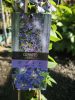 Clematis 'Arabella' - Klematisz