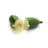 Citrus Australica/Finger Lime 'Giallo' - Kaviár citrom 
