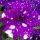 Calibrachoa 'Night sky' - Petúnia