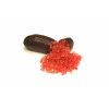 Citrus Australica/Finger Lime 'Rosso' - Kaviár citrom 