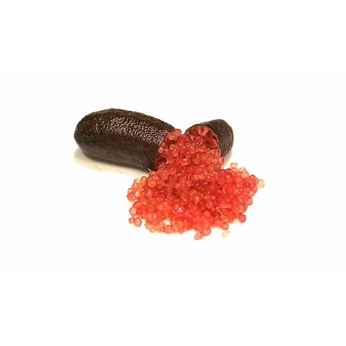 Citrus Australica/Finger Lime 'Rosso' - Kaviár citrom 