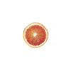 Citrus Sinensis 'Tarocco Rosso' - Narancs (TERMÉS NELKÜLI) fóliakonténerben