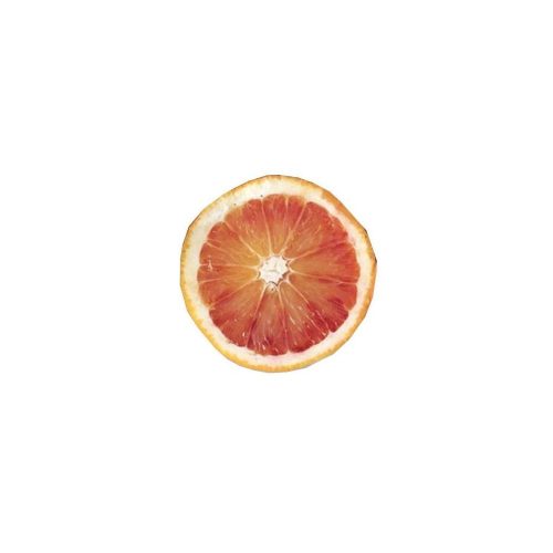 Citrus Sinensis 'Tarocco Rosso' - Narancs (TERMÉS NELKÜLI) fóliakonténerben