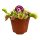 Dionaea Muscipula - Vénusz légycsapója