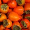 Diospyros kaki 'Cioccolatino' - Datolyaszilva (kakiszilva)
