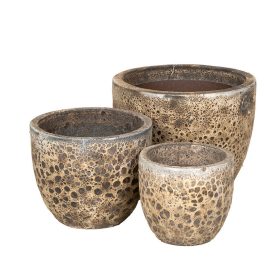   Wellington Classic kerámia növénytartó savmaratott - fehér