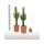 Euphorbia Ingens - Kutyatej