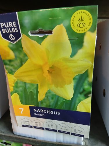 Narcissus 'Mando' - Nárcisz virághagyma 7db/csomag