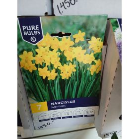   Narcissus 'Sweetness' - Nárcisz virághagyma 7db/csomag