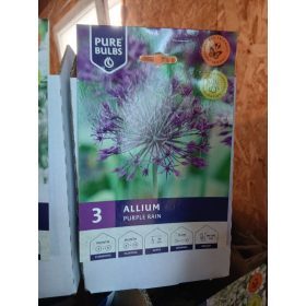   Allium 'Purple rain' - Díszhagyma virághagyma 3db/csomag