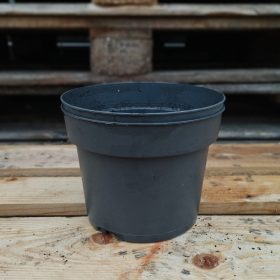 Használt 4 literes szürke cserép (21cm)