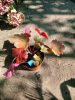 Heuchera 'Bloody Dinosaur' - Tűzeső (Tűzgyöngyvirág)