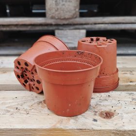 Használt Kuma terracotta cserép (14cm)