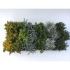 Herbs mix