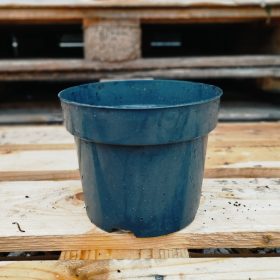 Használt 3 literes cserép (19cm)