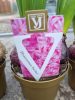 Hyacinthus mix - Jácint 