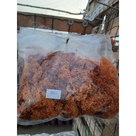 Izlandi zuzmó - Narancs - Kicsi