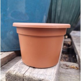 Kerek Ravenna cserép (12cm)