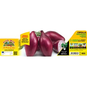   Allium cepa "Tropeana" - Hosszúkás lilahagyma 12-es pakk