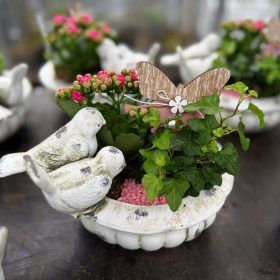 Madaras virágtál (korallvirág, borostyán)