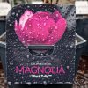 Magnolia 'Exclusive mix' - Liliomfa