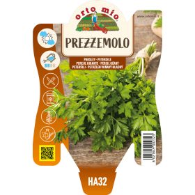 Petroselinum crispum var. crispum - Metélőpetrezselyem