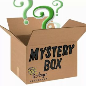MYSTERY BOX - Szobanövényekkel