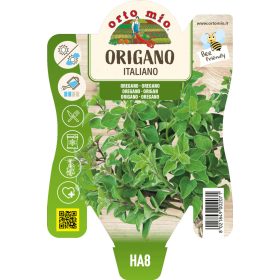 Origanum vulgare - Oreganó