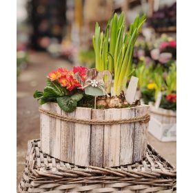 Összeültetés fa hajóban