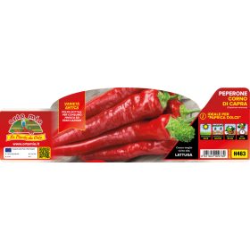   Capsicum annuum "Corno di Capra" - Paprika palánta (6-os pakk)