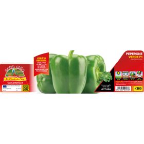   Capsicum annuum "Magnum F1" - Paprika palánta (6-os pakk)