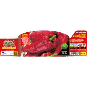   Capsicum annuum "Pescarese Capricorn F1" - Paprika palánta (6-os pakk)