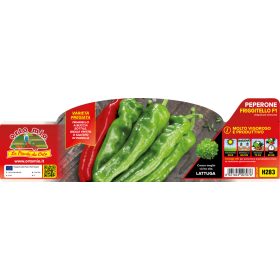   Capsicum annuum "Torricello F1" - Paprika palánta (6-os pakk)