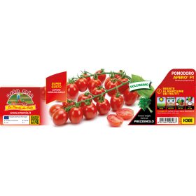   Solanum lycopersicum "Apero F1" - Paradicsom palánta (6-os pakk)