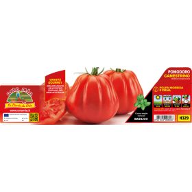   Solanum lycopersicum "Canestrino F1" - Paradicsom palánta (6-os pakk)