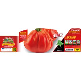   Solanum lycopersicum "Cuoremio F1" - Paradicsom palánta (6-os pakk)