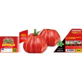   Solanum lycopersicum "Diablo F1" - Paradicsom palánta (6-os pakk)