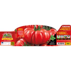   Solanum lycopersicum "Fiorentino Cosimo" - Paradicsom palánta (6-os pakk)