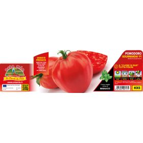   Solanum lycopersicum "Gourmandia F1" - Paradicsom palánta (6-os pakk)