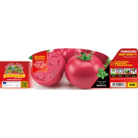   Solanum lycopersicum "Honey Moon F1" - Paradicsom palánta (6-os pakk)