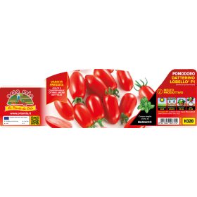   Solanum lycopersicum "Lobello F1" - Paradicsom palánta (6-os pakk)